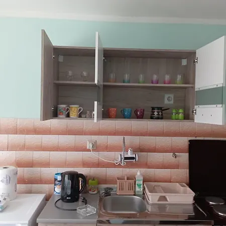 Miki Jovanovic Homestay Pirot