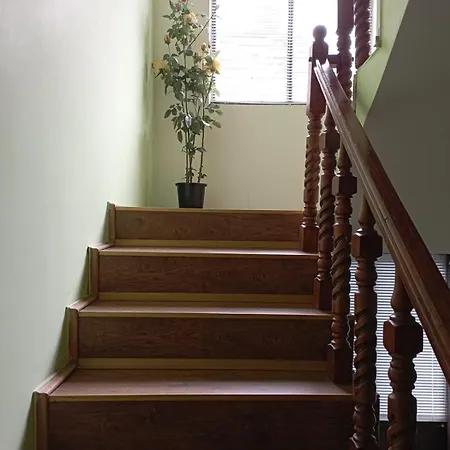 Miki Jovanovic Homestay